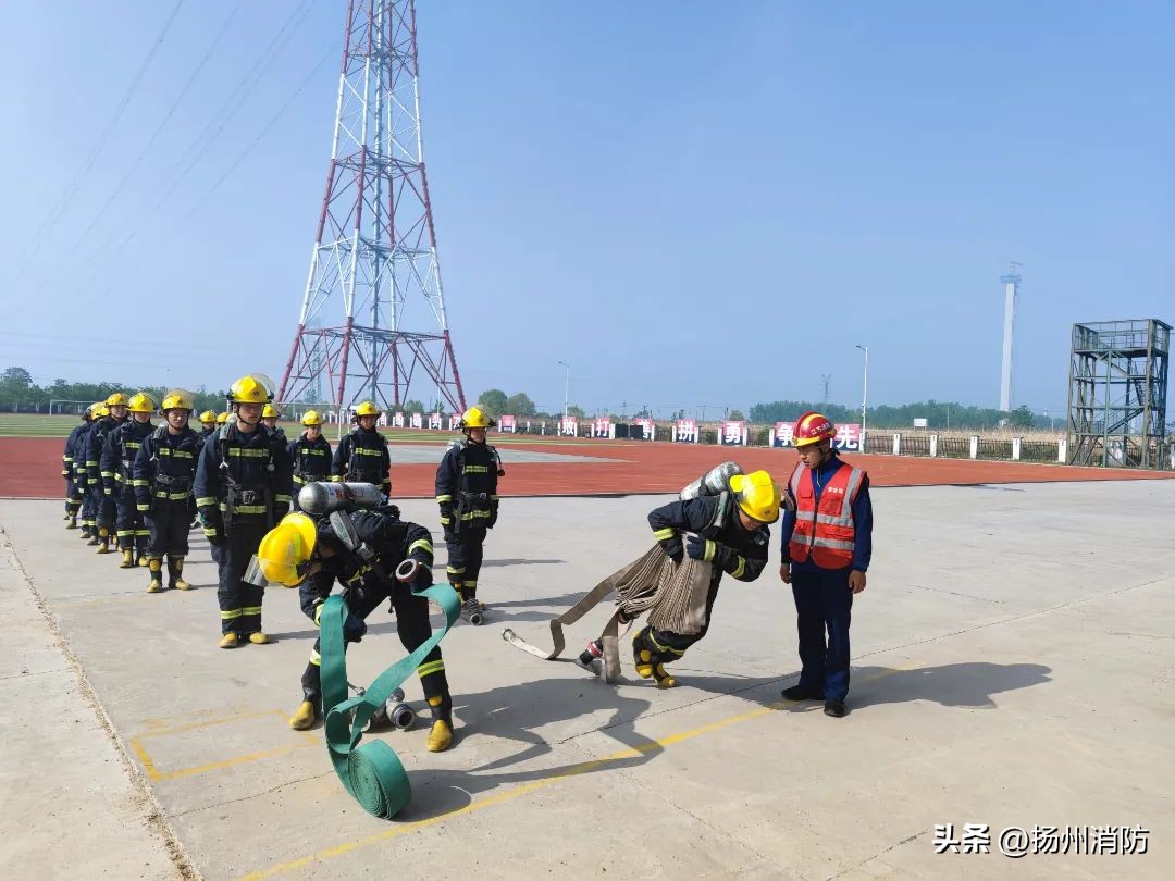 六一：“蓝焰幼崽”的六个变化