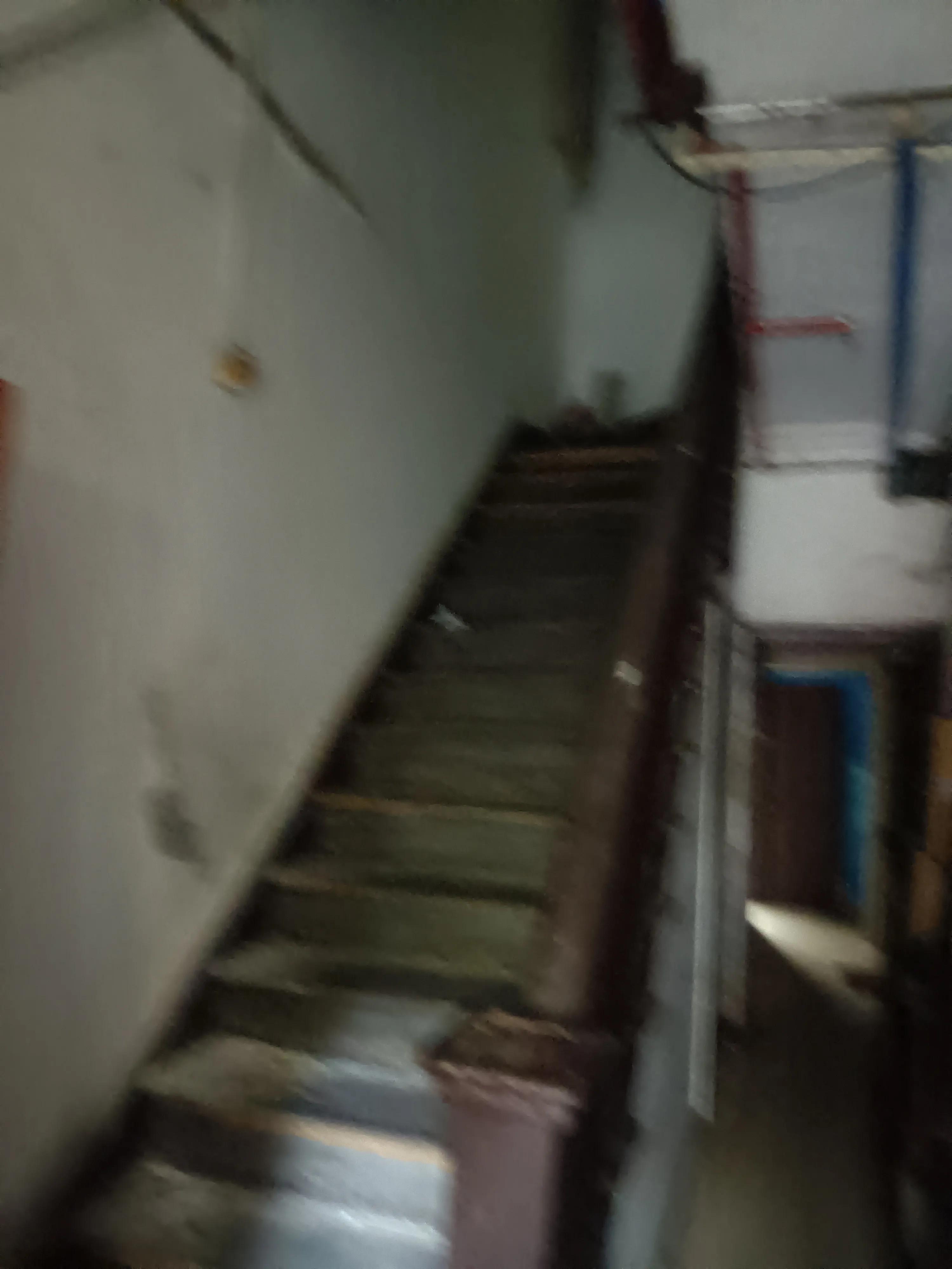 胡适三妻四妾,胡适两位夫人