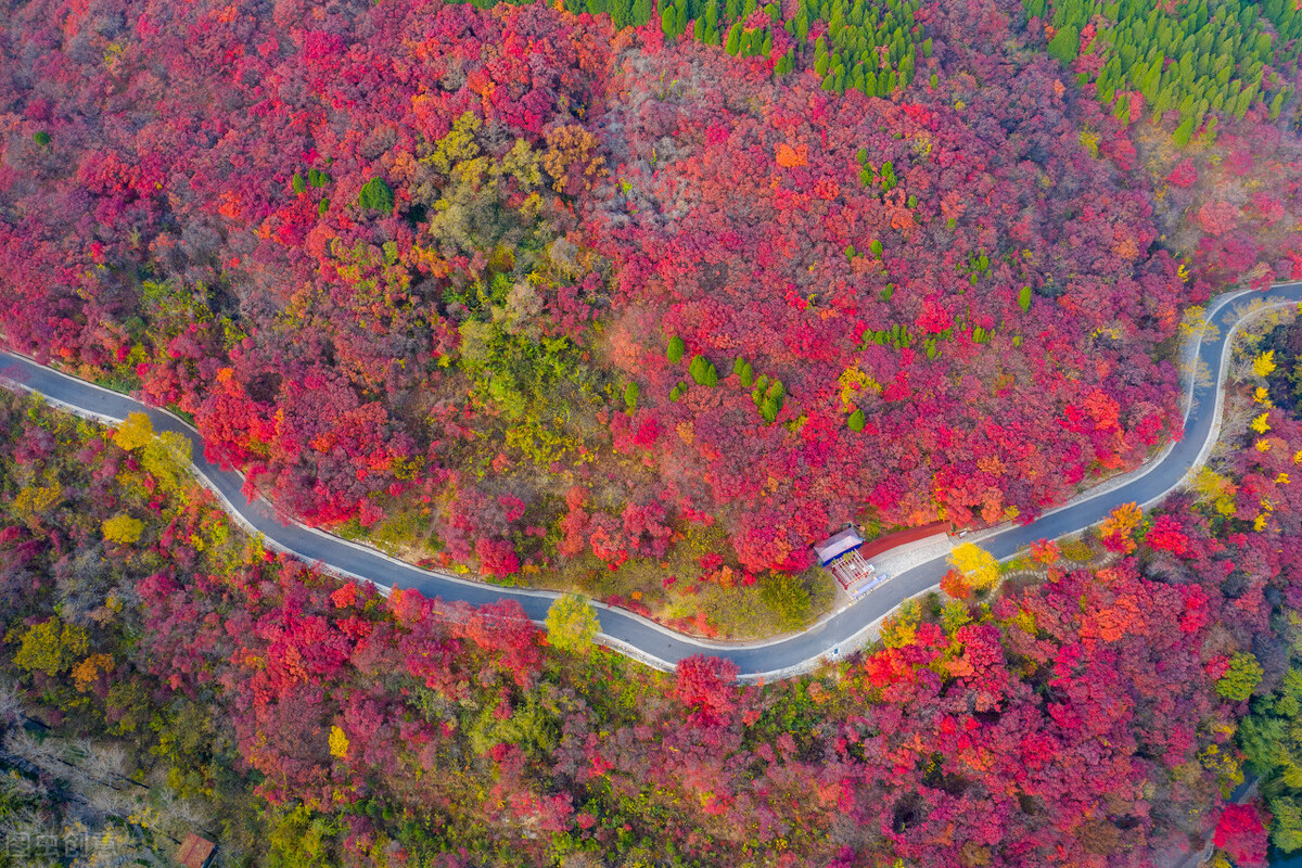 没想到济南的秋天竟然可以这样美,秋天济南哪个景区最美