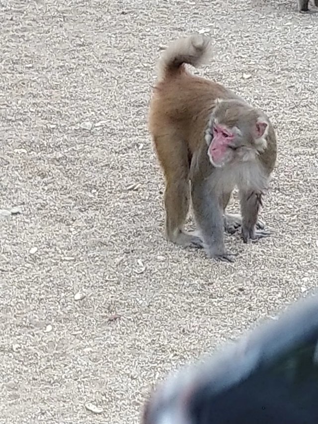 三亚旅游凤凰岛攻略,海南三亚旅游攻略文档