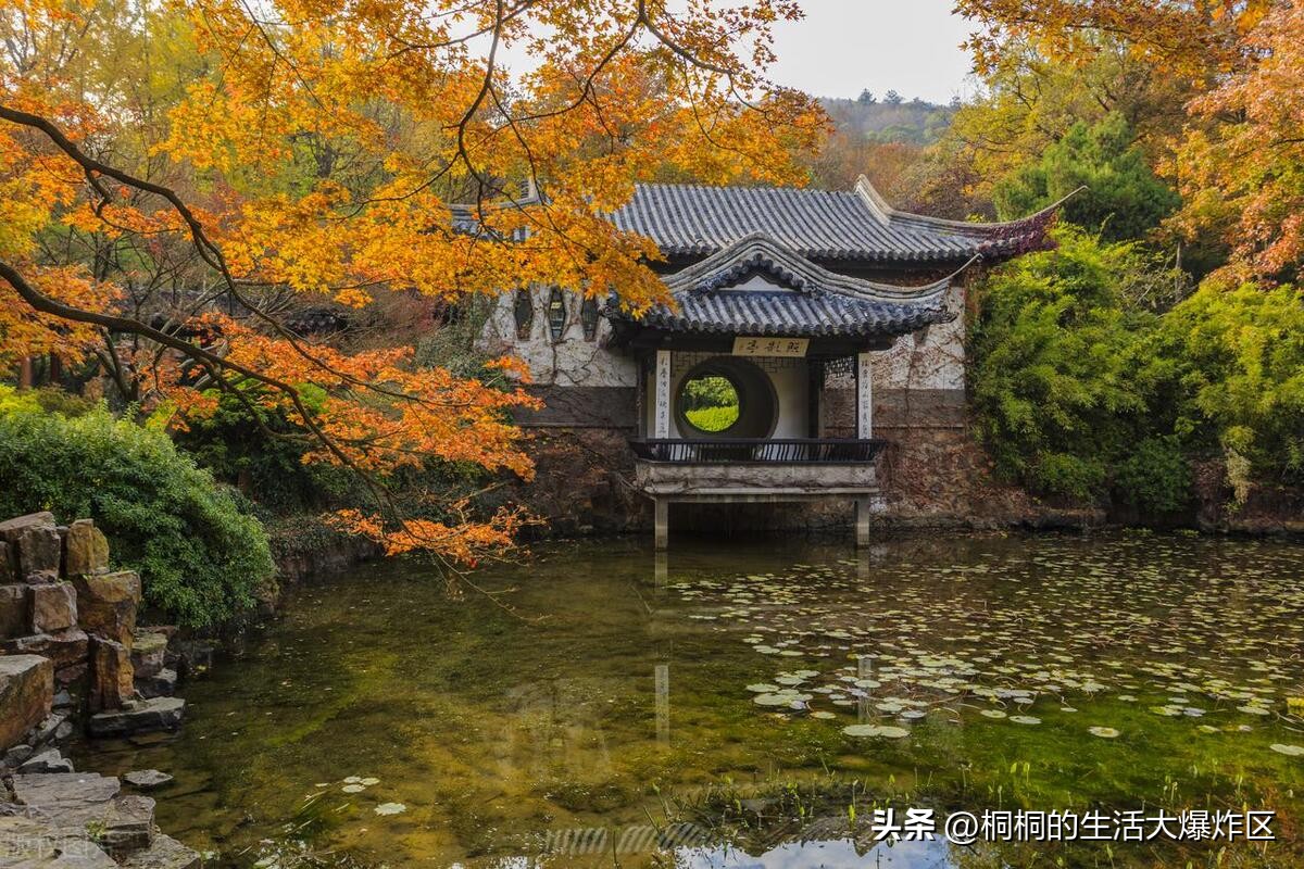 无锡旅游一日游推荐路线图,无锡特种兵一日游攻略