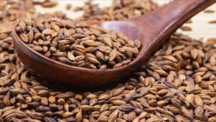 大麦纤维素的特征,研究小麦在人体的化学反应