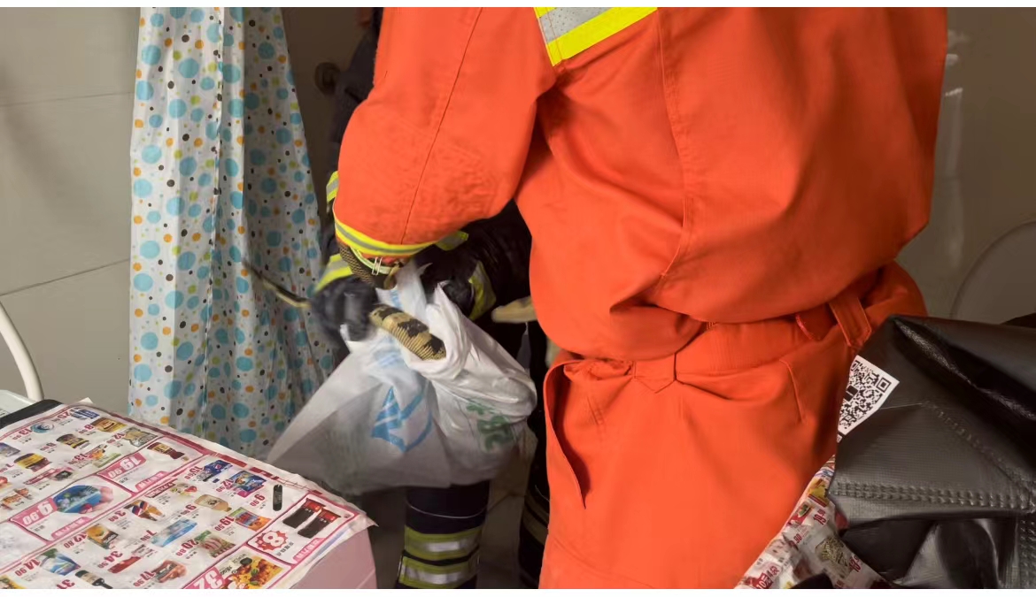 消防员抓蜥蜴视频,广西男子家房顶出现巨大蜥蜴