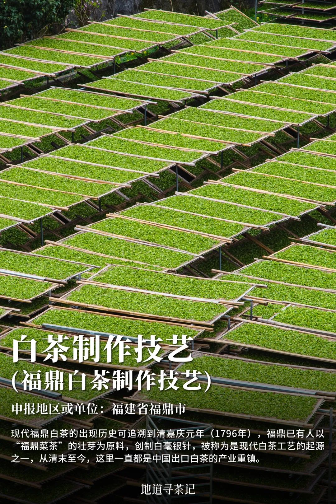 我国哪种传统艺术第一个入选非遗,中国非遗成功的有22项