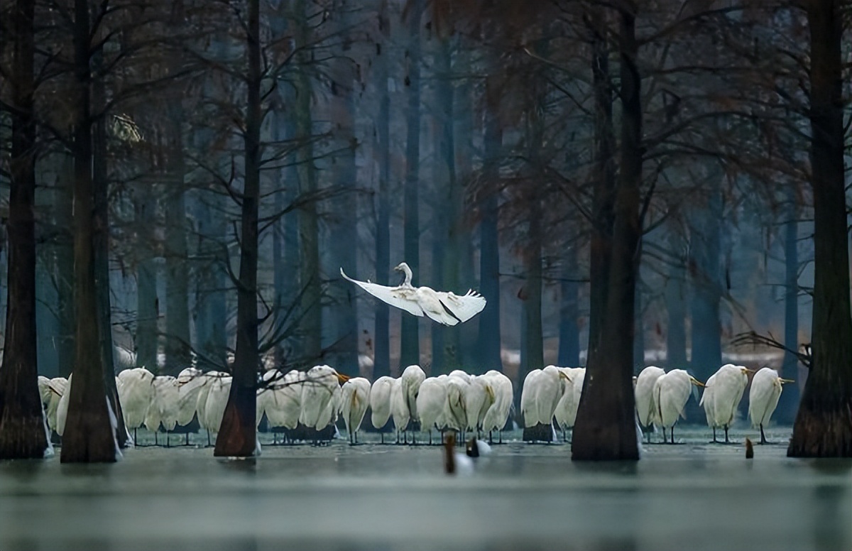 不一样的我们江苏南京,江苏南京栖霞区