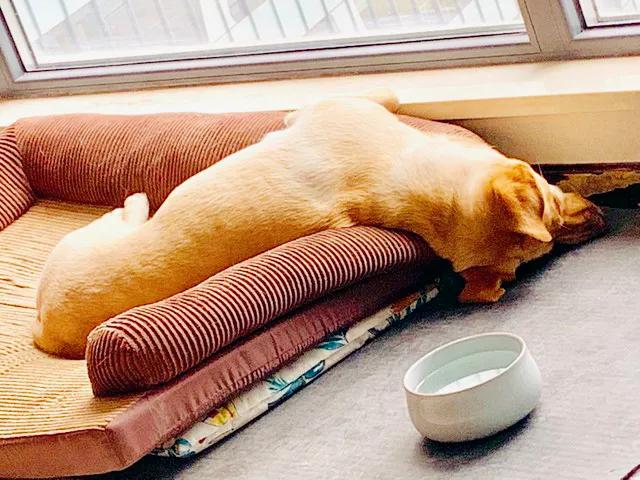 商品房楼上噪音太吵是普遍现象吗,住楼房嫌吵怎么办