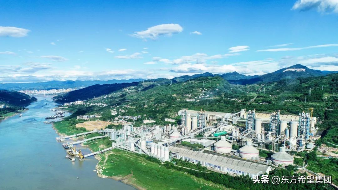 2020东方希望集团收入,东方希望集团百强企业