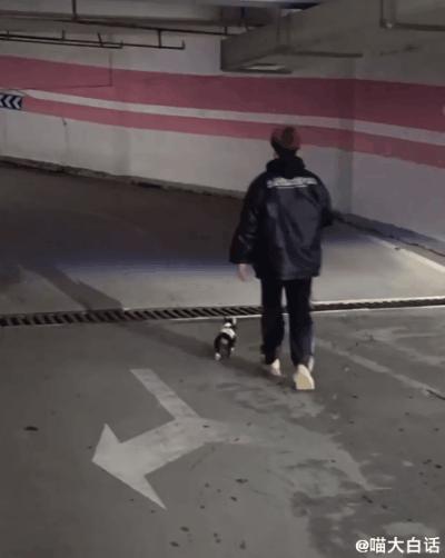 “写网文发现忠实粉丝竟是闺蜜?”哈哈哈哈哈感天动地姐妹情!