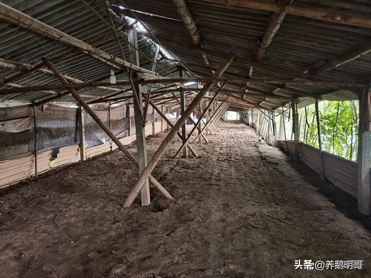 赤壁50亩鱼塘承包费一年要多少钱,25亩鱼塘承包要多少租金