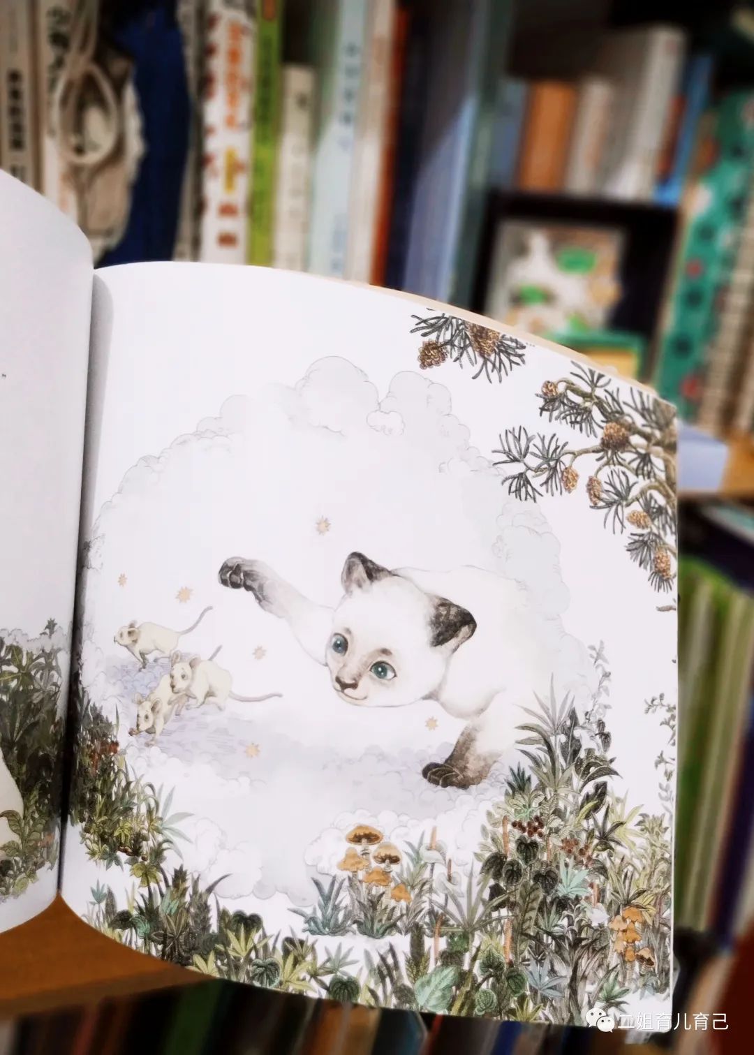 中国动物寓言故事书,中国寓言国学