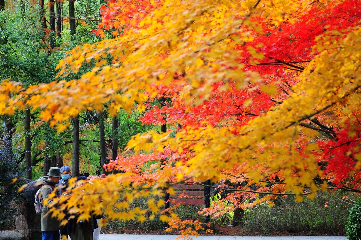 大上海旅游攻略必去景点大全,休息了没事去大上海参观旅游景点
