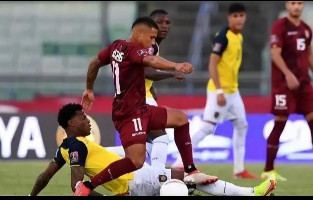 卡塔尔0-2厄瓜多尔门将,厄瓜多尔胜卡塔尔后卡塔尔情况