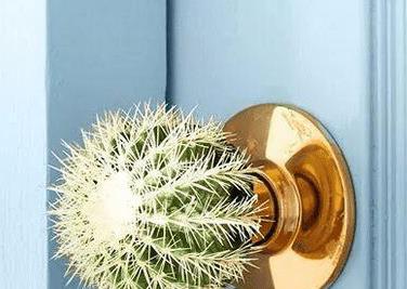 捡到100元不还失主算违法吗,女孩捡到一百万归还失主是哪一集