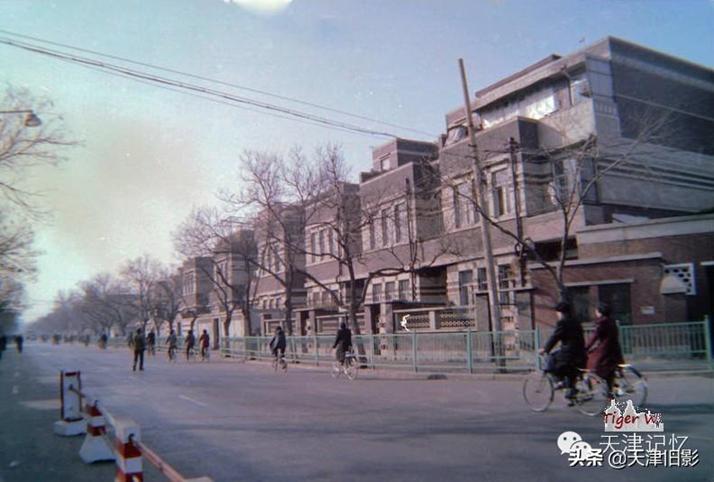 五大道老叟见闻录|伦敦道的记忆