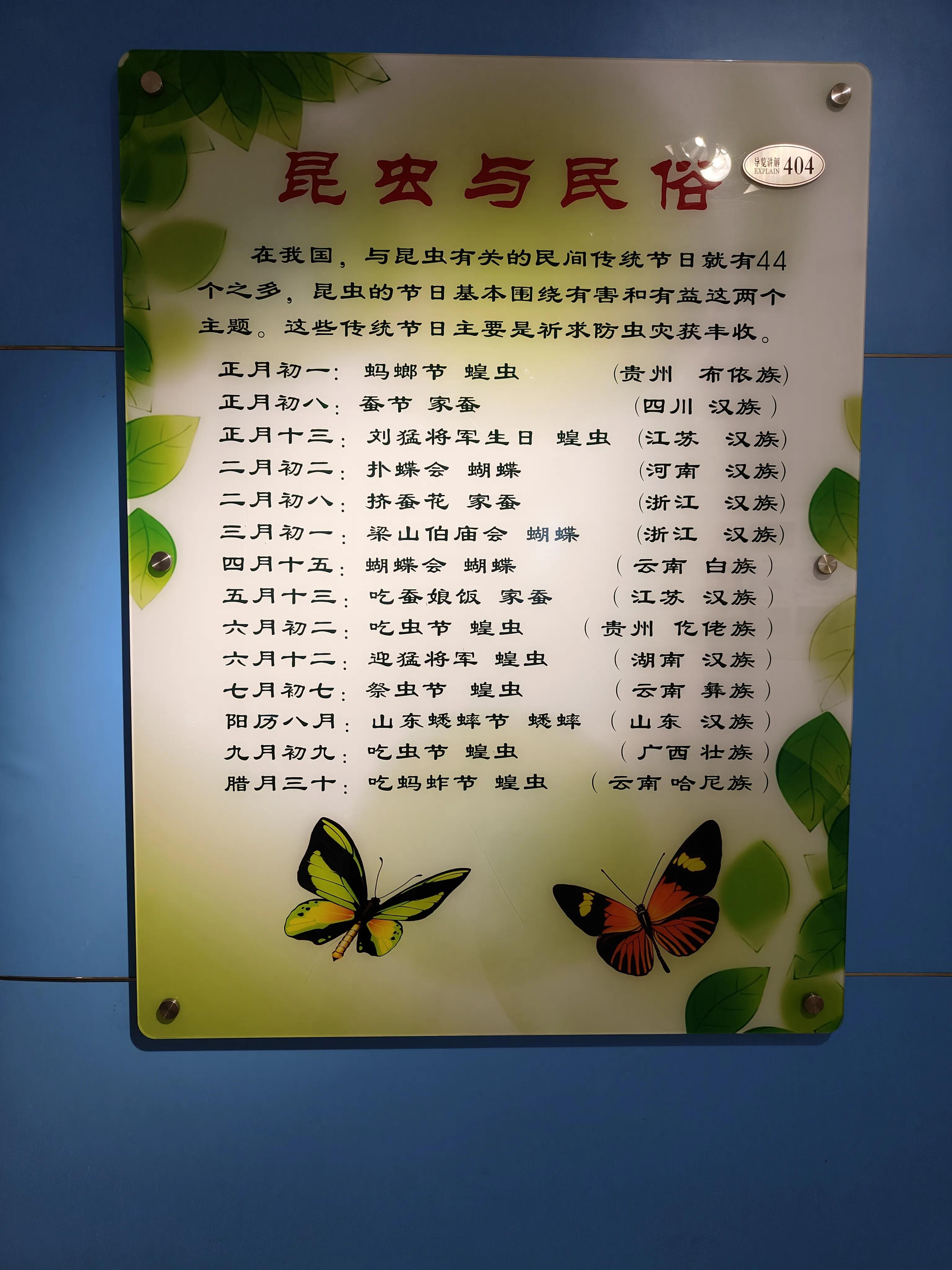 神兽暑假活动攻略之上海昆虫博物馆记