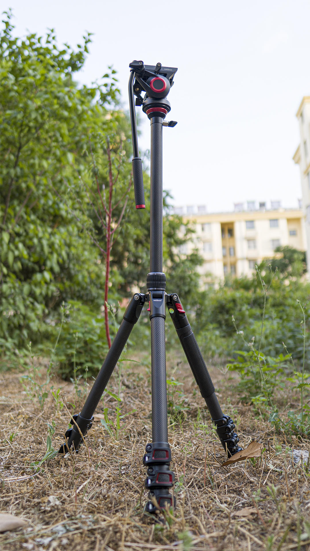 补足短板品质再升级,补齐短板提升弱项