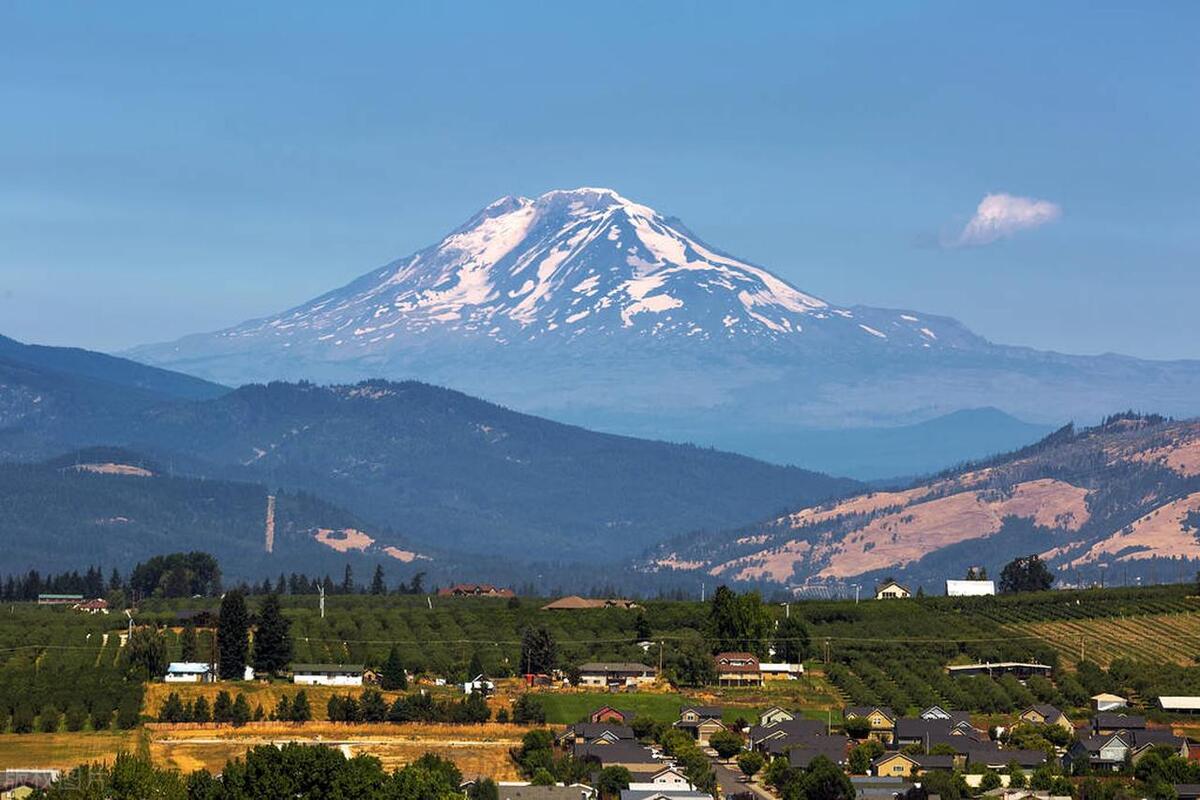 法律与经济学诉民生社会:托马斯·库利和亨利·亚当斯案例1