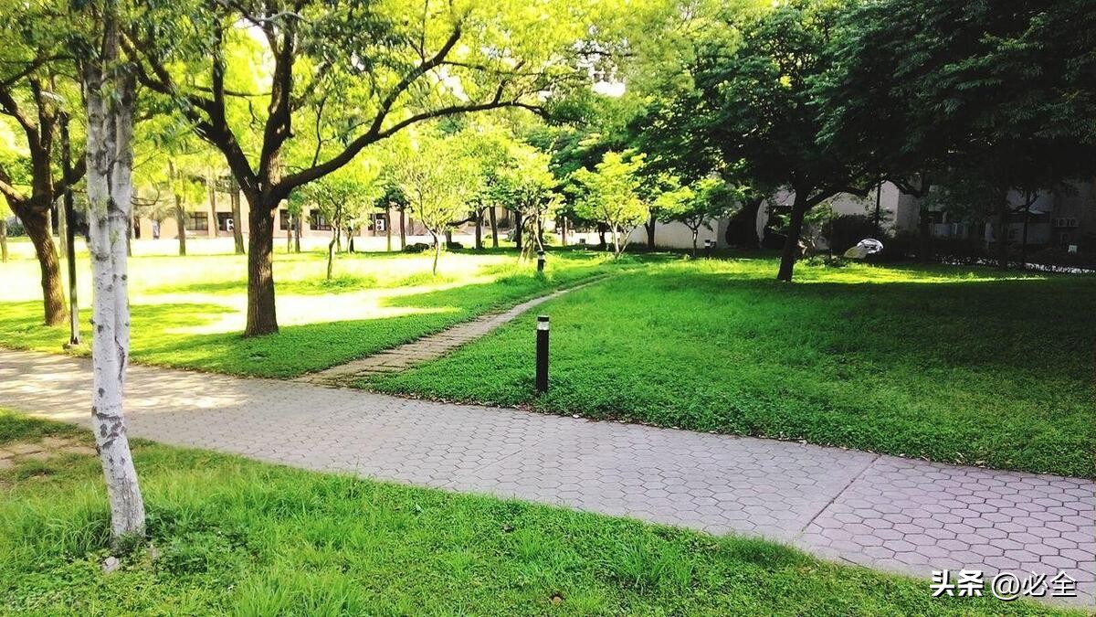 园林草坪要做什么,草坪景观布置