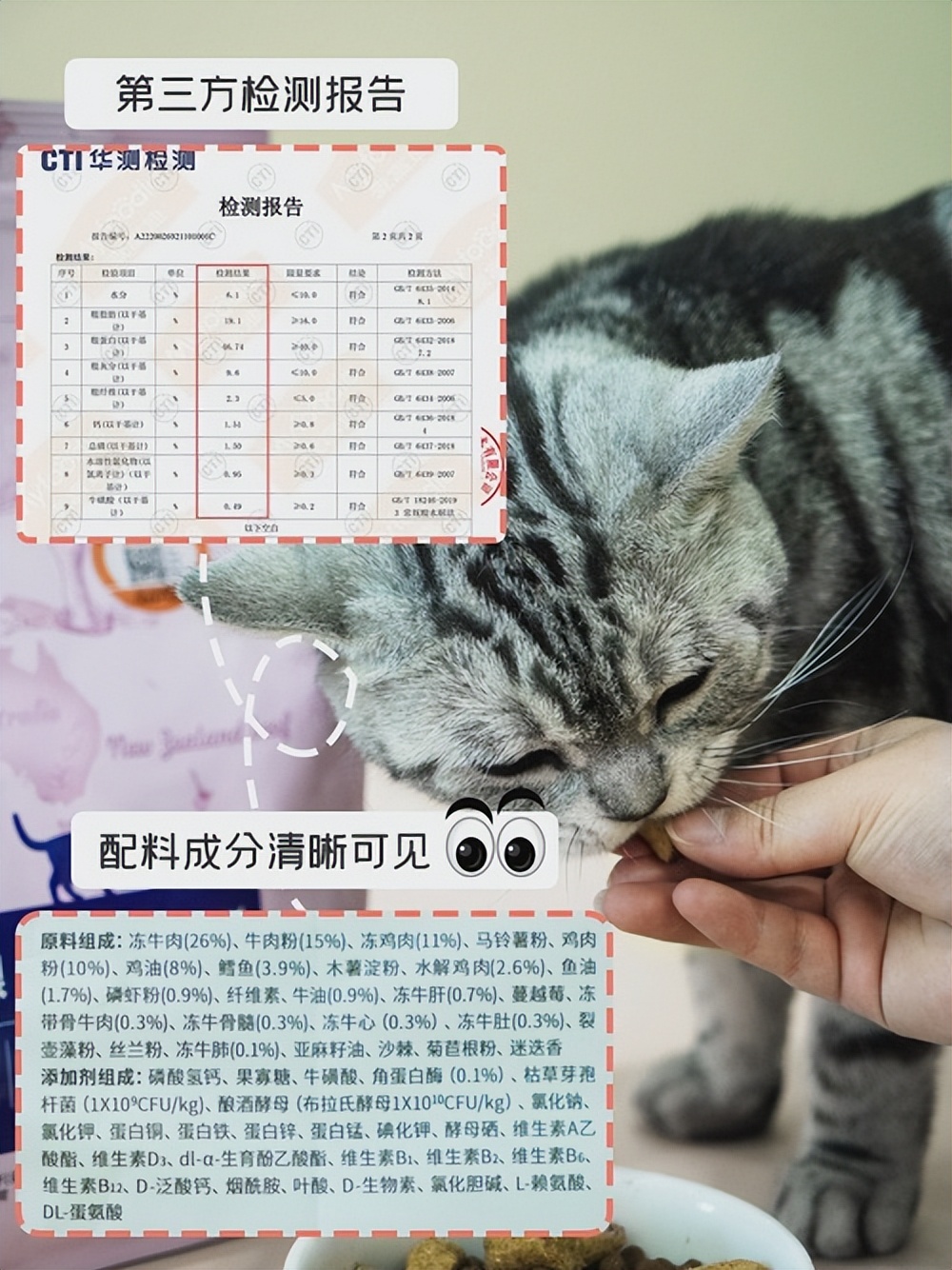 清除猫耳屎的方法,猫耳屎清理的过程