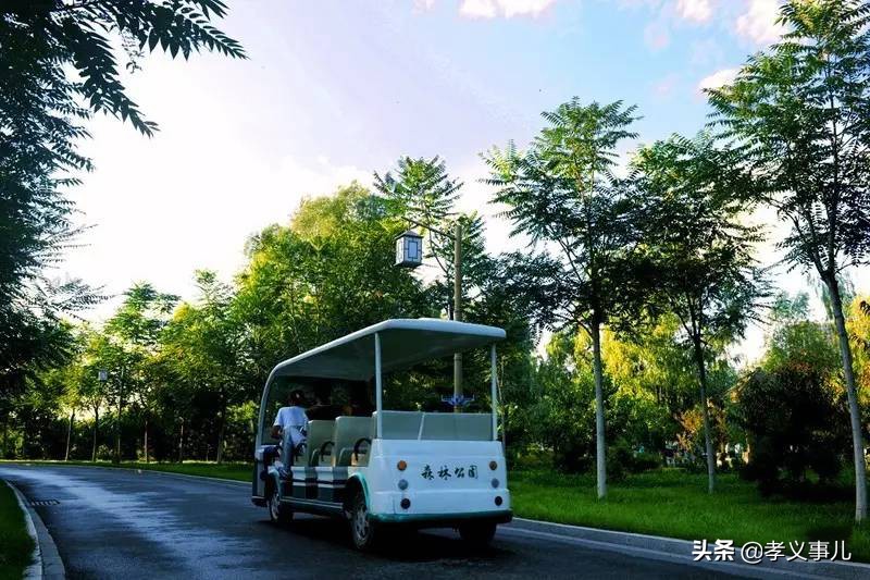 山西孝义：三伏天热成狗？孝义本地最全避暑指南来了，快快收藏