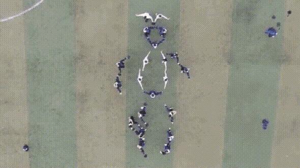 轻松一刻猫,轻松一刻喵星人的日常