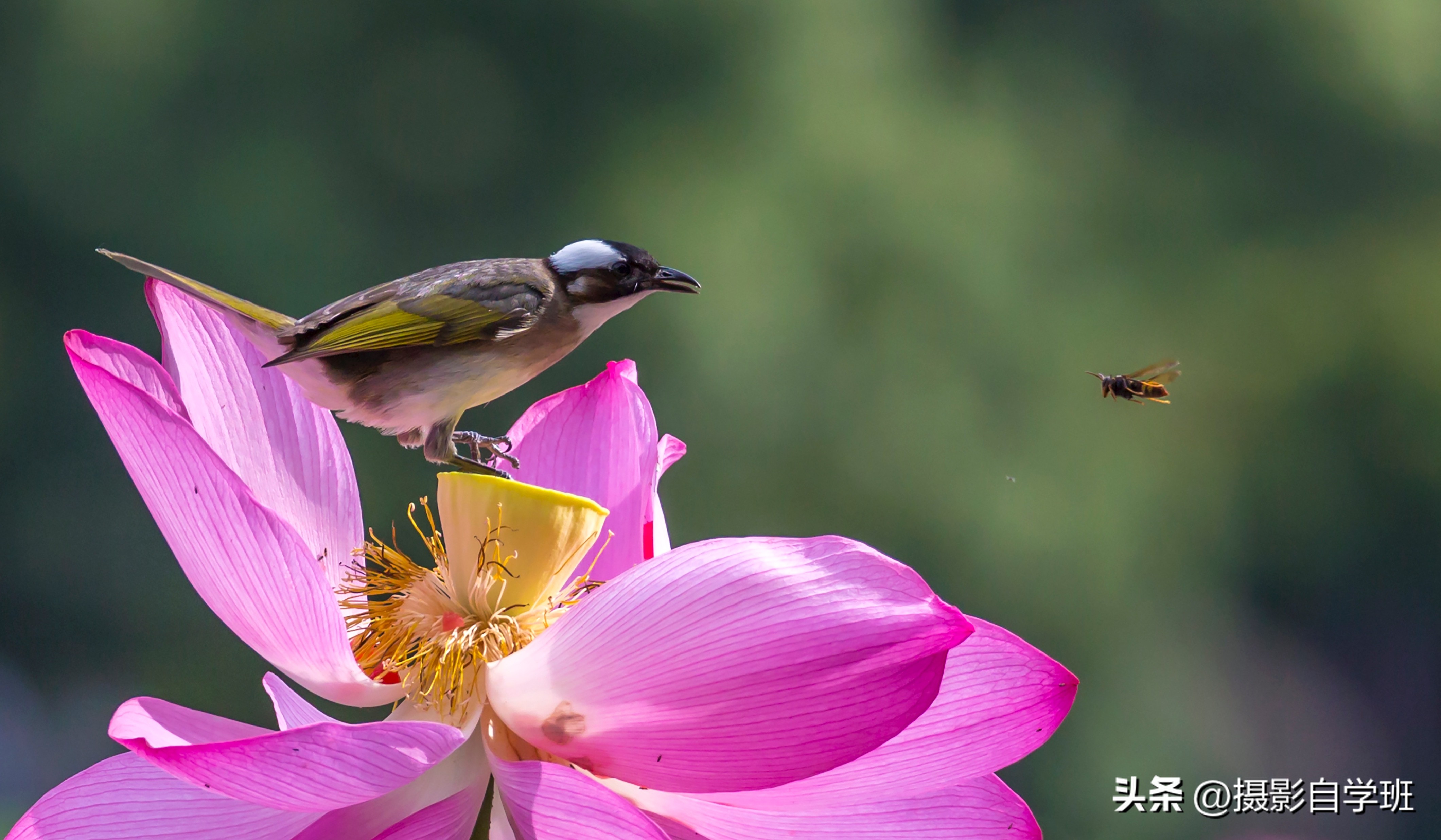 第二十一届摄影作品征稿,摄友投稿图片