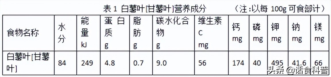 红薯叶有营养吗,红薯叶含有淀粉吗