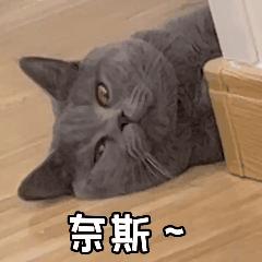 孕妇31周小肚子痛怎么回事,32周孕妇的苦与甜