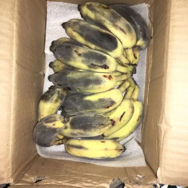 出售的果蔬生鲜出现变质能退货吗,生鲜水果退货规定