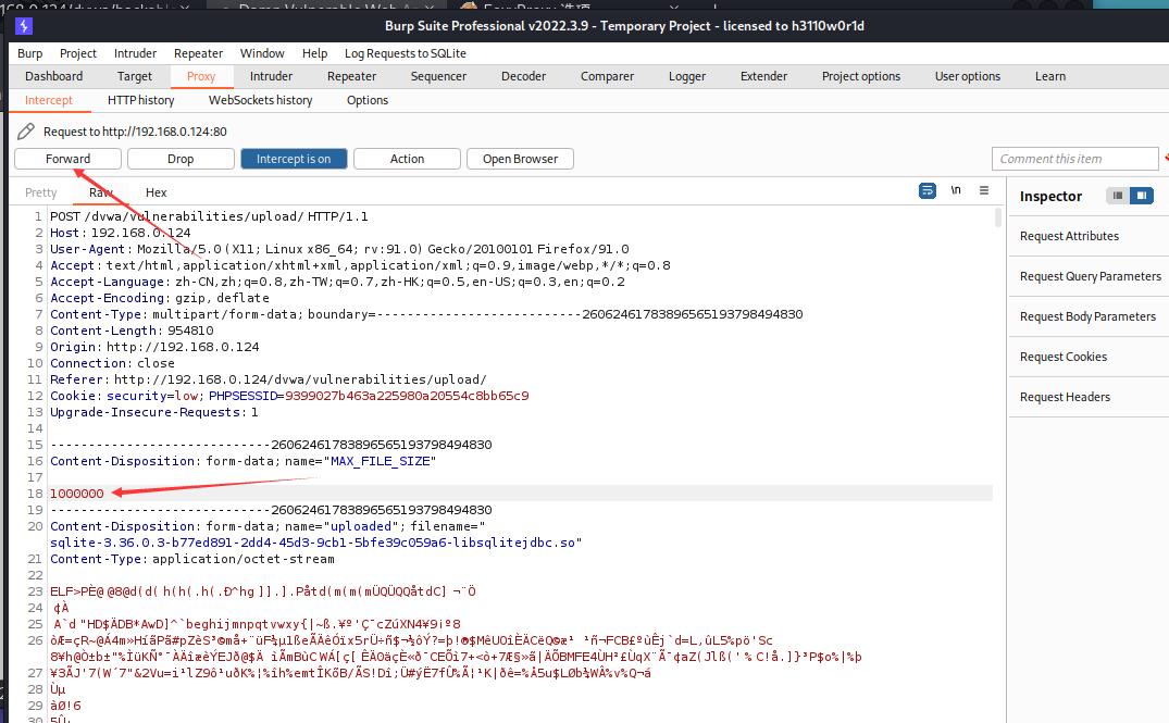 web渗透漏洞挖掘项目报告,web渗透与漏洞挖掘下载