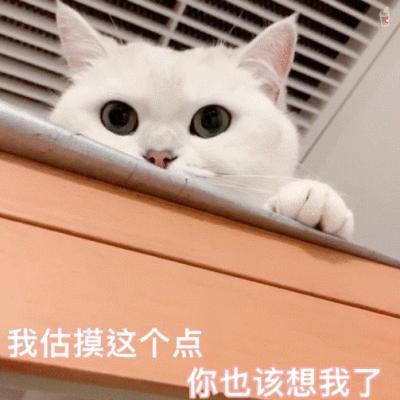 超好看的刘海短刘海也可以剪,不挑脸型的刘海学生党不用剪