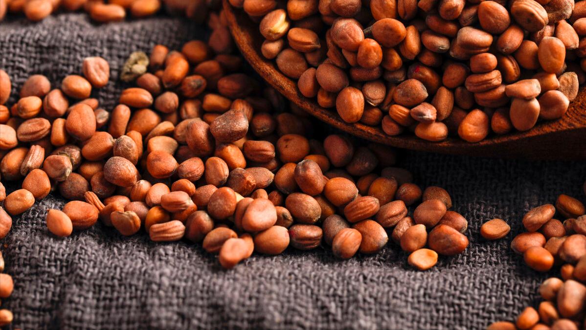 肠道积滞中气下陷吃什么中成药,中医怎么调理胃肠积滞症