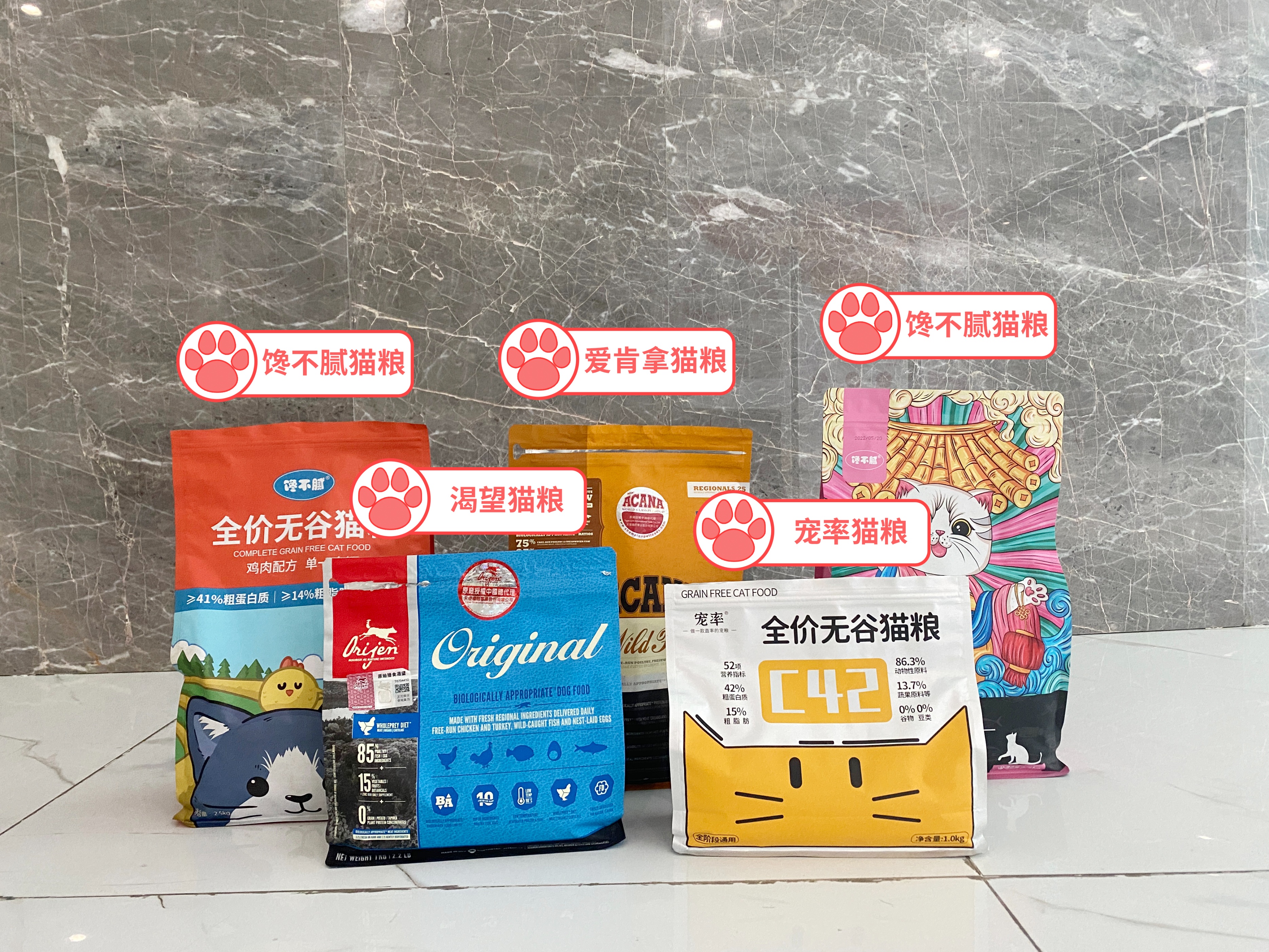 猫界中最通人性的几种猫你养了吗,这几种猫堪称猫界怂猫