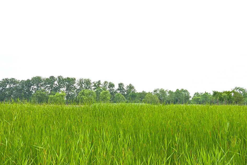 北京免费景美公园大全,北京这个公园也很美