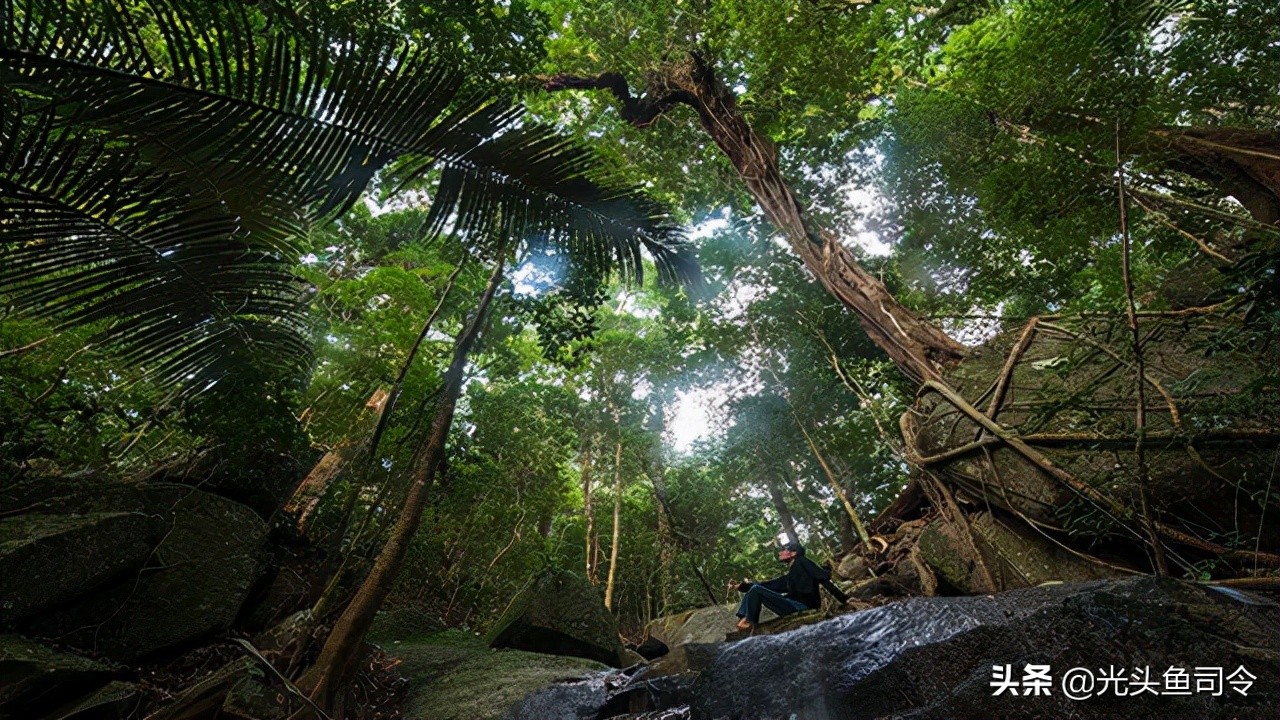 亚马逊河为什么被称为人类禁区,亚马逊河到底有多可怕