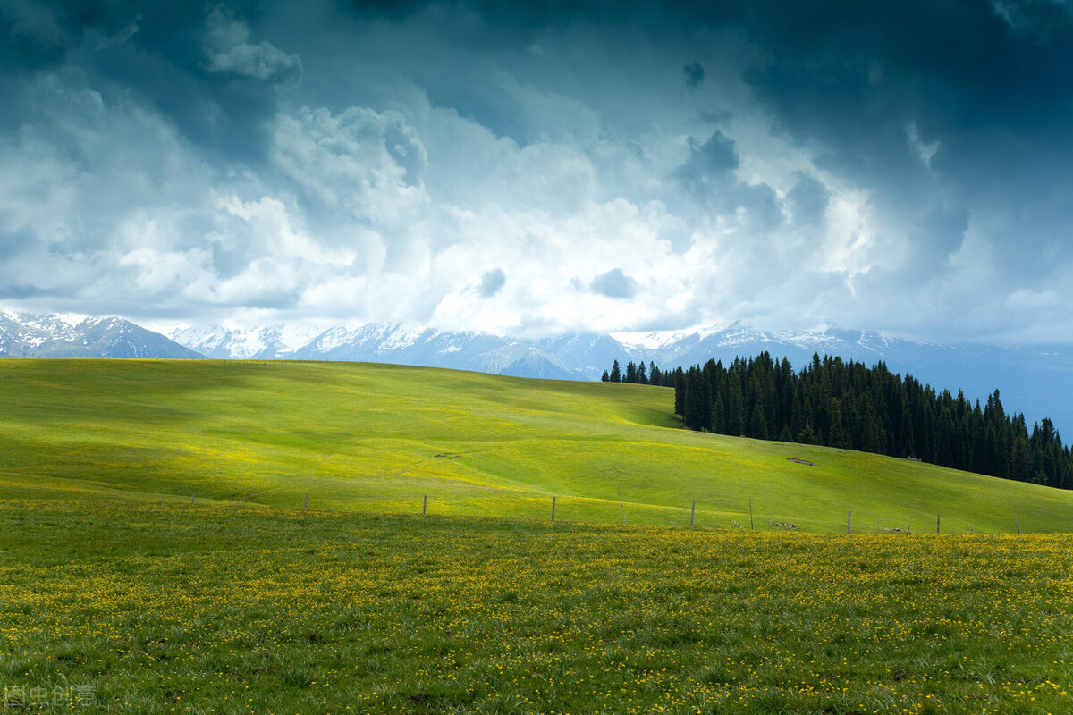 澳洲留学签证海关,澳洲出入境通关指南