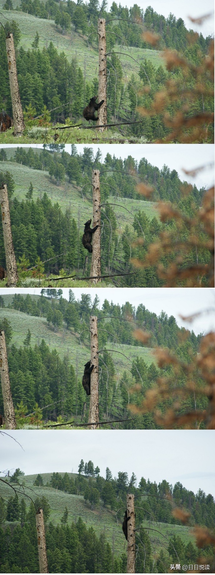 美国黄石国家公园经典风景图片,美国黄石国家公园在地图怎么找