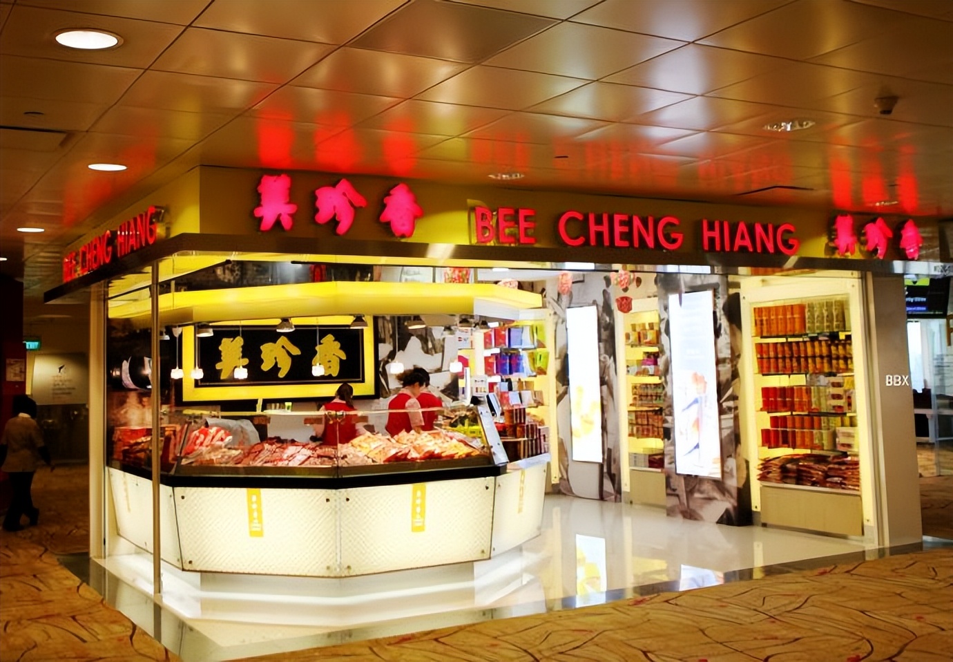 新加坡樟宜机场的仙人掌花园,新加坡最美机场在哪个航站楼