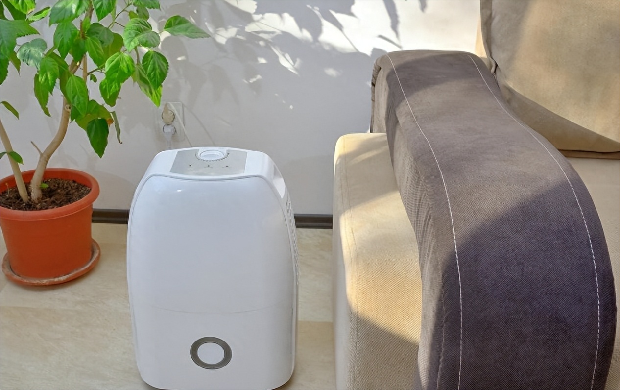 家用除湿机用什么样的好,新房装修用除湿器