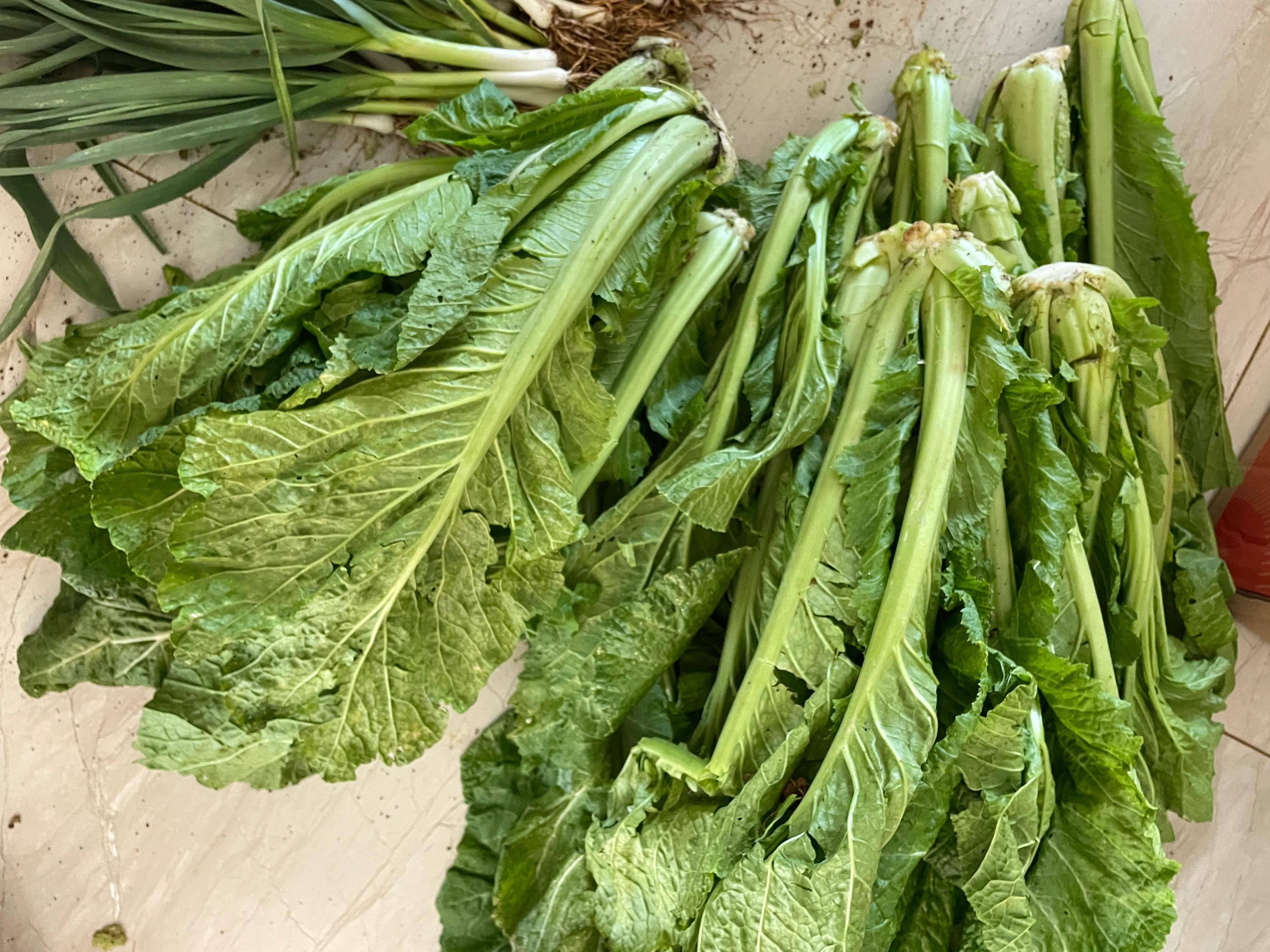 馊菜吃了会怎样,舌尖上的馊菜