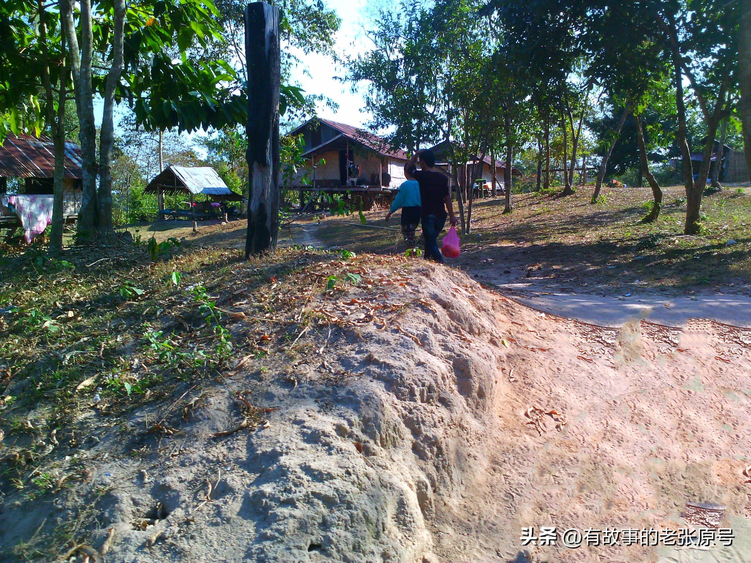 小崔和越南媳妇,小崔的喀麦隆生活