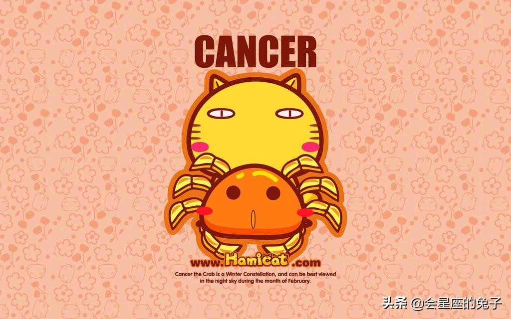 2022年7月份各星座运势 (1975年7月的兔在2022年的全年运势)