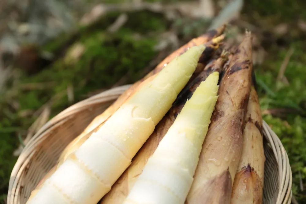 解决痔疮你可以试试这些方法,根除痔疮最好的办法