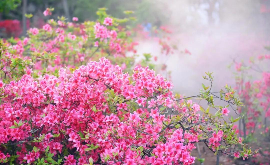 汝阳县行政村名（社区）你知道几个