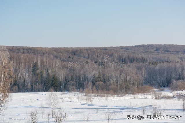鎴戝湪瑗夸集鍒╀簹,瑗夸集鍒╀簹妫灄鏈変粈涔堝ソ鏈ㄦ潗