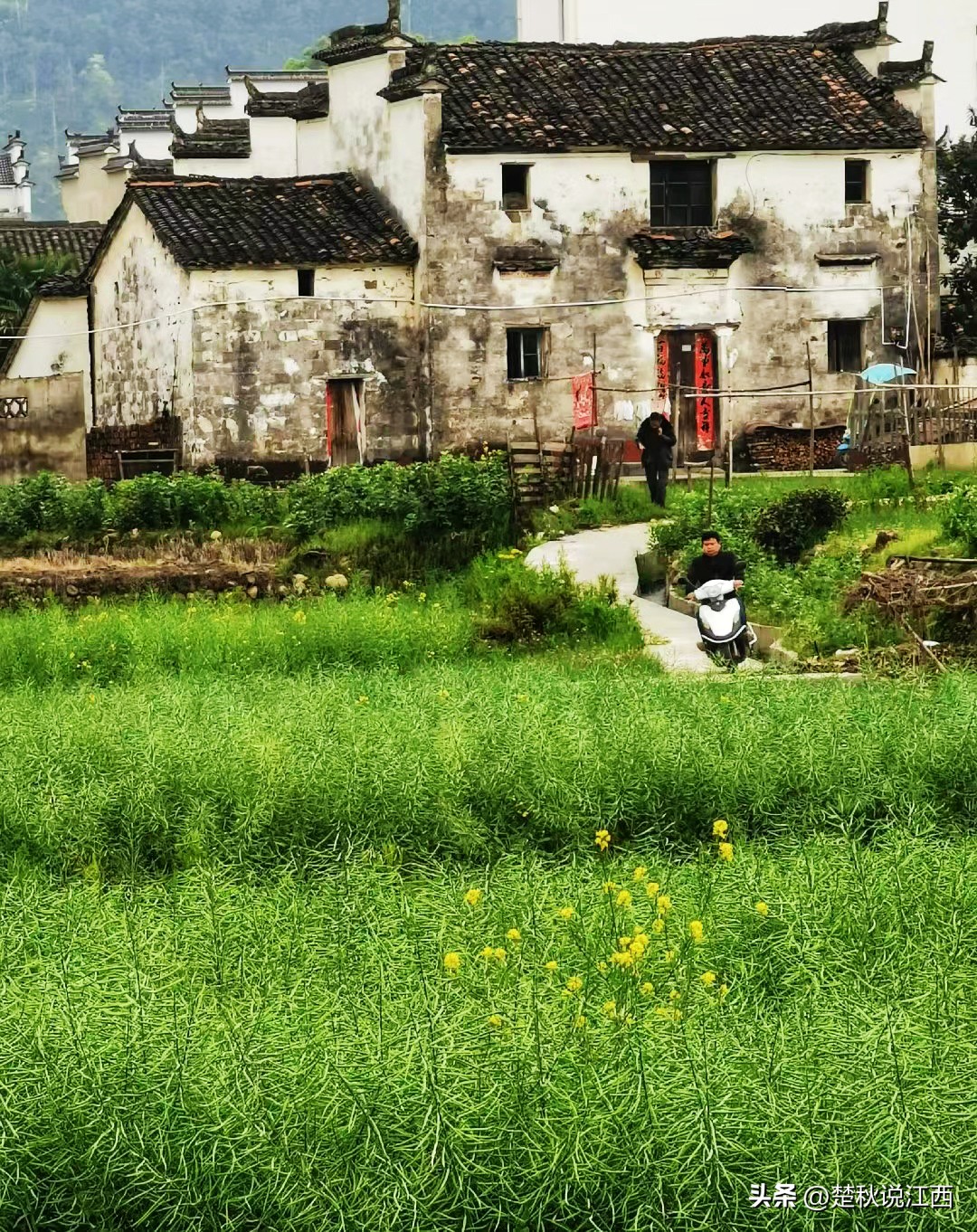 古村古镇古廊桥,江西的水乡古镇