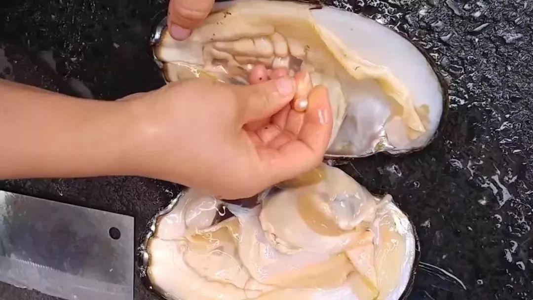 章子怡开蚌珍珠直播,章子怡直播取珍珠是真的吗