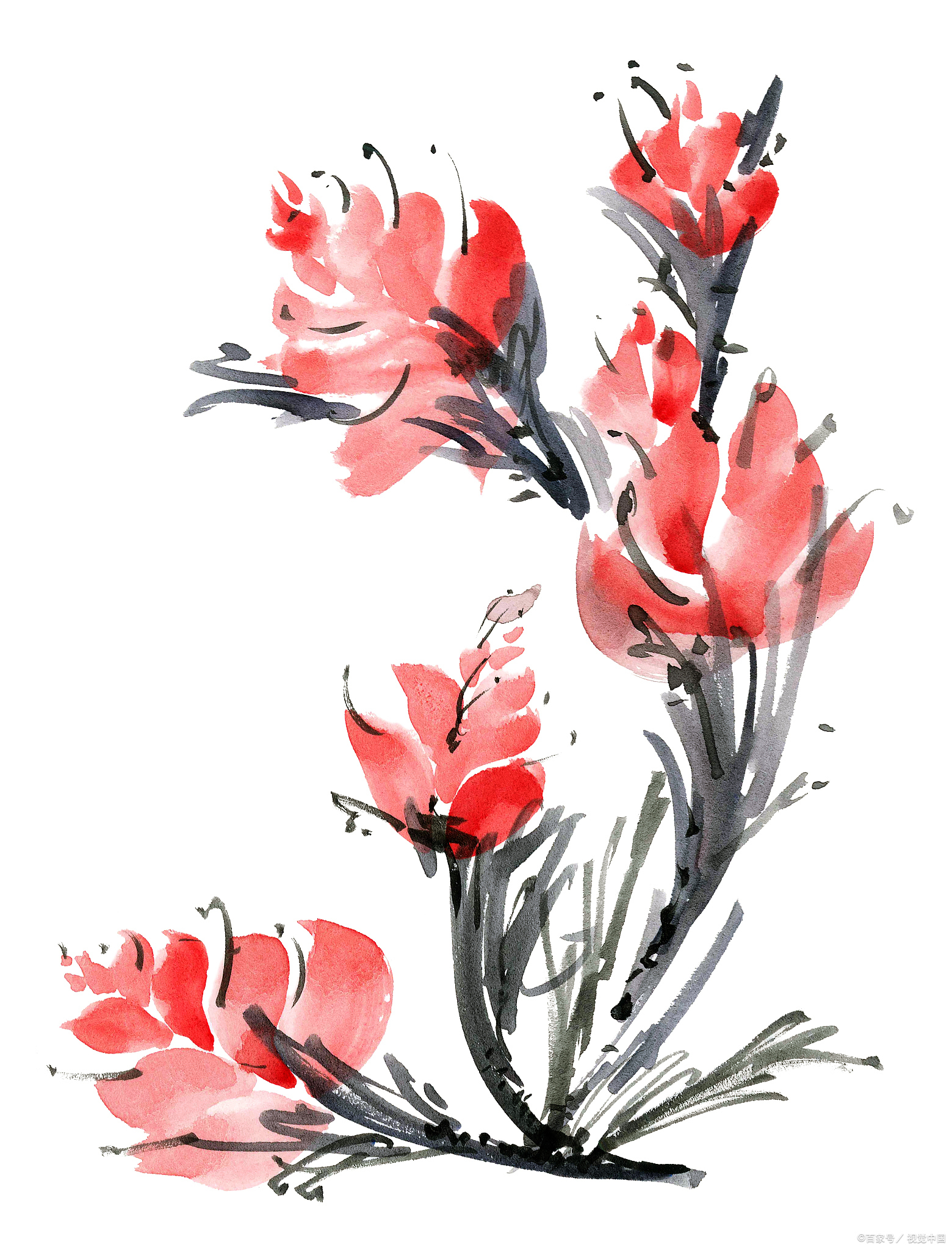 春天赏花,怎么发朋友圈才有格调,64首诗词来助力