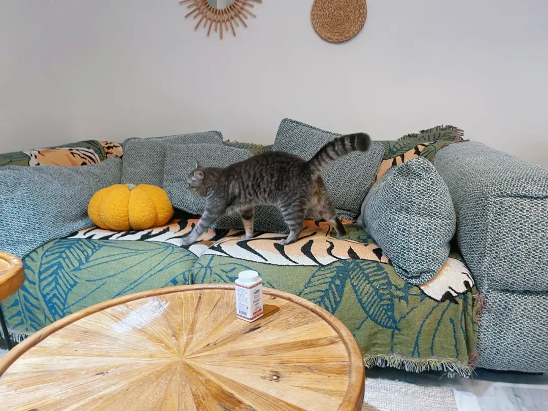 新加坡去哪买衣服鞋子,新加坡去哪买电脑配件