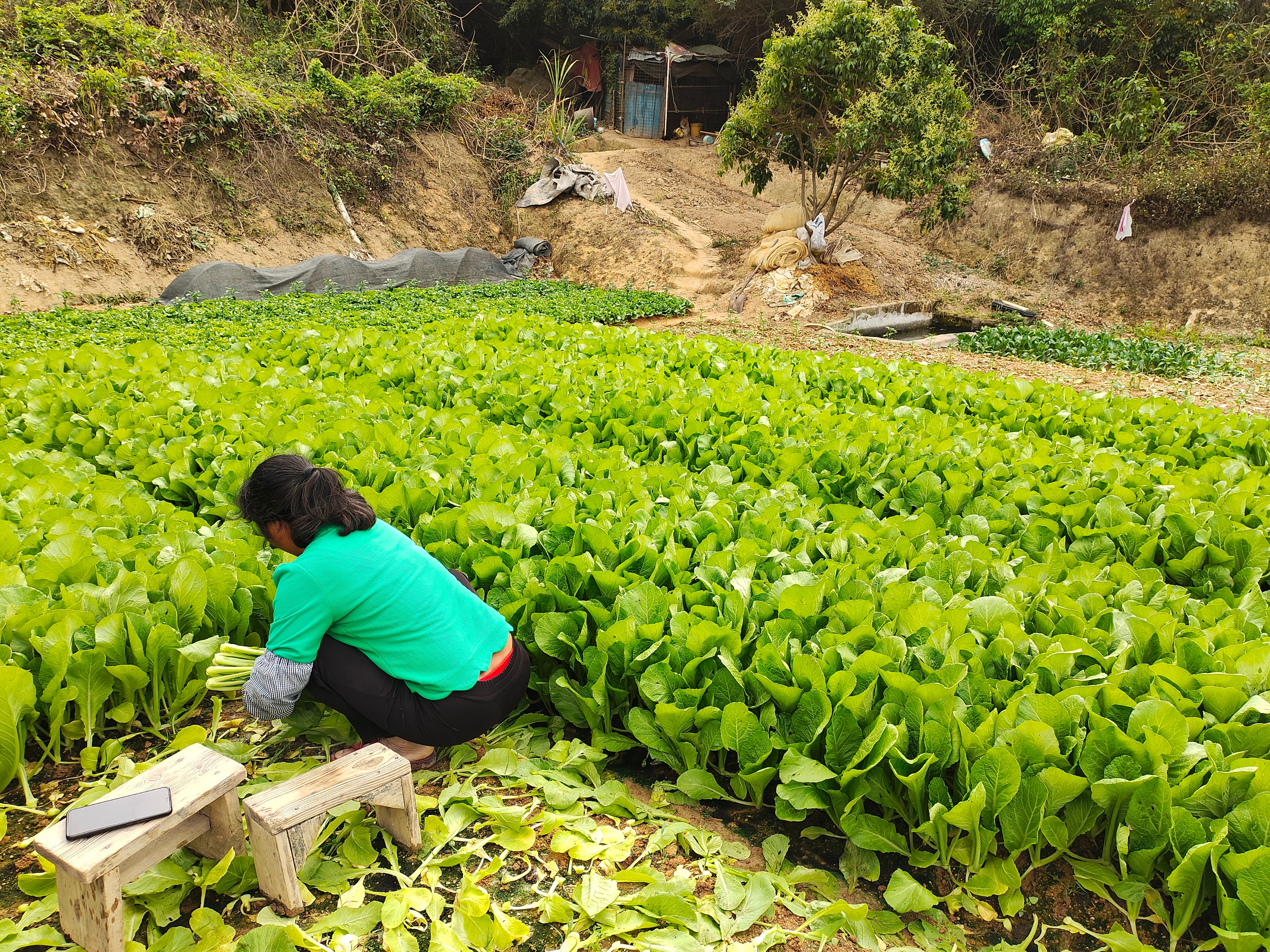 团建策划|深圳公司团建攻略|团建项目安排|